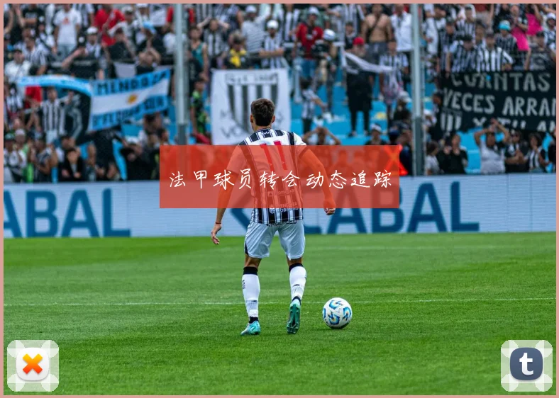 法甲球员转会动态追踪