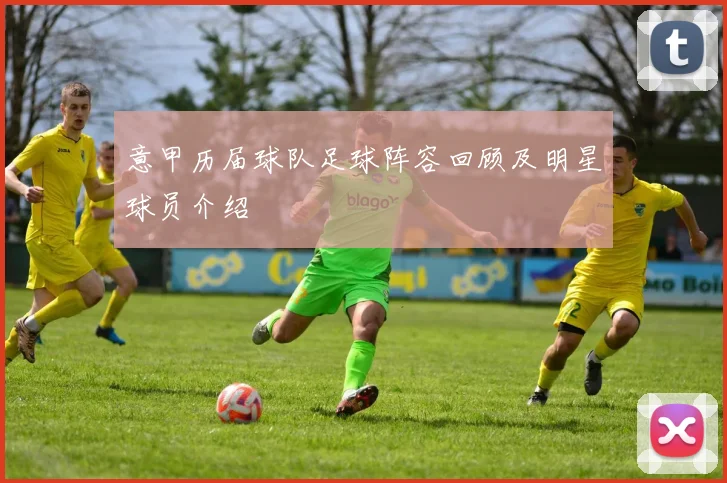 意甲历届球队足球阵容回顾及明星球员介绍